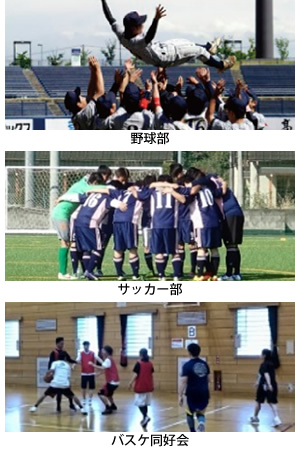 野球部/サッカー部